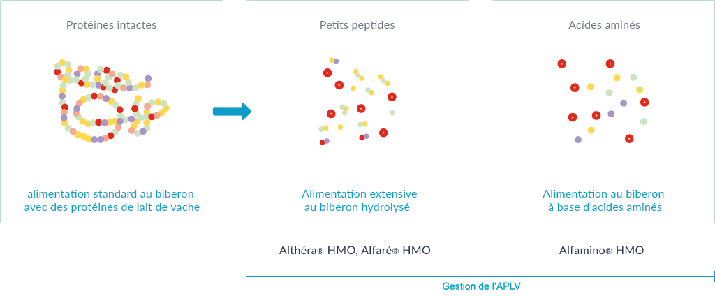 5 protein peptides acids